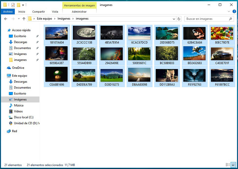 Como renomear ambos os múltiplos arquivos no Windows - Imagem 1 - Professor-falken.com